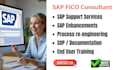 be your expert sap s4 hana fico consultant