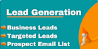 pro b2b lead generation high targeted lead generation, linkedin lead generation