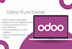 be your odoo functional consultant