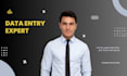 do urgent data entry and excel work quickly