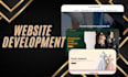 a professional website, set up hosting, domain and email