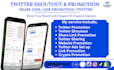 do twitter shoutouts, twltter sharing, share link to 80m UK USA fb ig audience