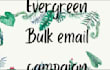 send professional bulk email campaigns