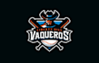 design youth baseball team logo