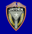 do professional embroidery digitizing in hours