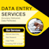 be your web research and data entry assistant