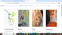 create and design dynamic websites