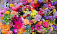 design flower website, florist website, rose website, flower store website