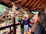 be your tour guide in kenya