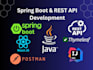 develop full stack java spring boot and react js web app