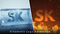 do a custom 3d logo animation and intro video