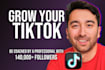 grow your tiktok with coaching