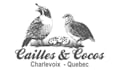 make modern unique quail logo with new creative concepts