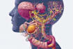 draw exercise, medical and anatomy illustrations