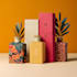 create amazon packaging design and label design