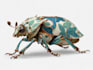 draw animal and botanical illustrations
