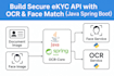 develop secure modular ekyc system with java spring boot and python