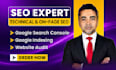 do technical and on page seo, website audit, google search console, page index