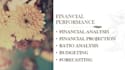 provide financial analysis, projection,ratio analysis, budgeting and forecasting