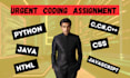do urgent coding assignment in python java css html and c