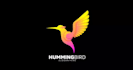 do outstanding hummingbird logo with express delivery