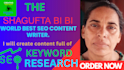 write SEO articles blog posts scripts professional speeches
