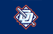 design diamond dogs baseball logo