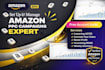 run, manage and optimize amazon ppc ads do account audits