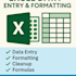 accurate data entry, excel spreadsheet, and data cleaning