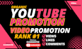 do organic youtube video promotion to real audience
