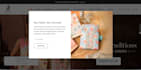 build a professional, responsive website that converts