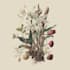 paint watercolour botanical illustrations