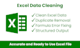 fix excel errors, clean data, and format reports accurately