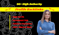 build powerful high da dofollow profile backlinks