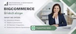 build a custome bigcommerce store that actually converts visitors into customers