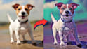 create animal cartoon image from your full pet image
