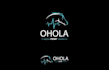 design clean modern equine practitioner logo