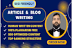 do SEO friendly tech, saas content writing, or blog post, copywriting