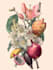 create insects, animals and botanical illustrations