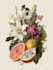 create botanical watercolor illustration in unique style