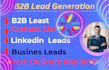 b2b lead generation, targeted email lists and linkedin leads