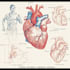 draw exercise, medical and anatomy illustrations