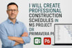 professionally create project scheduling in ms project and primavera p6