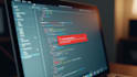 fix one bug or a visual issue on your website