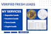provide hot verified finance fresh leads, crypto  coin leads