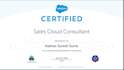 develop salesforce apex, lwc, flows, and integrations