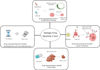 do scientific writing, docking, simulations, and figures