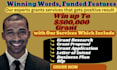 write winning rfp contracts, bid proposals, rfqs, grant proposals, and business