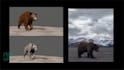 do 3d animal model,3d creature with xgen hair, realistic fur,3d animal animation