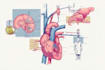 make scientific and medical illustrations for you